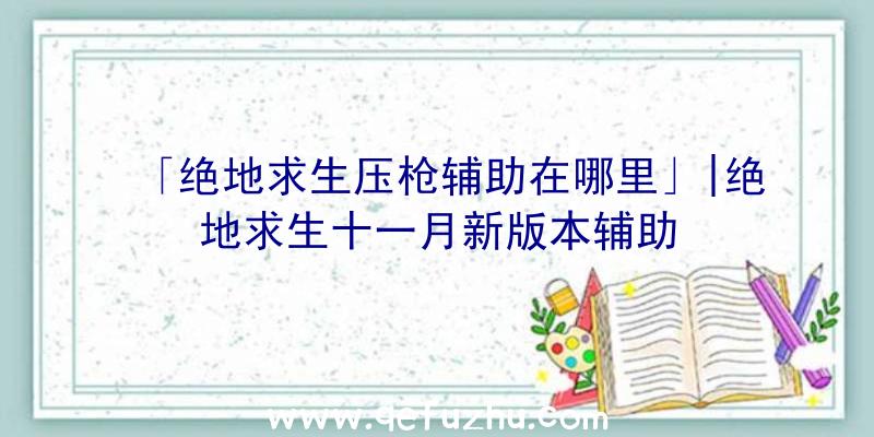 「绝地求生压枪辅助在哪里」|绝地求生十一月新版本辅助